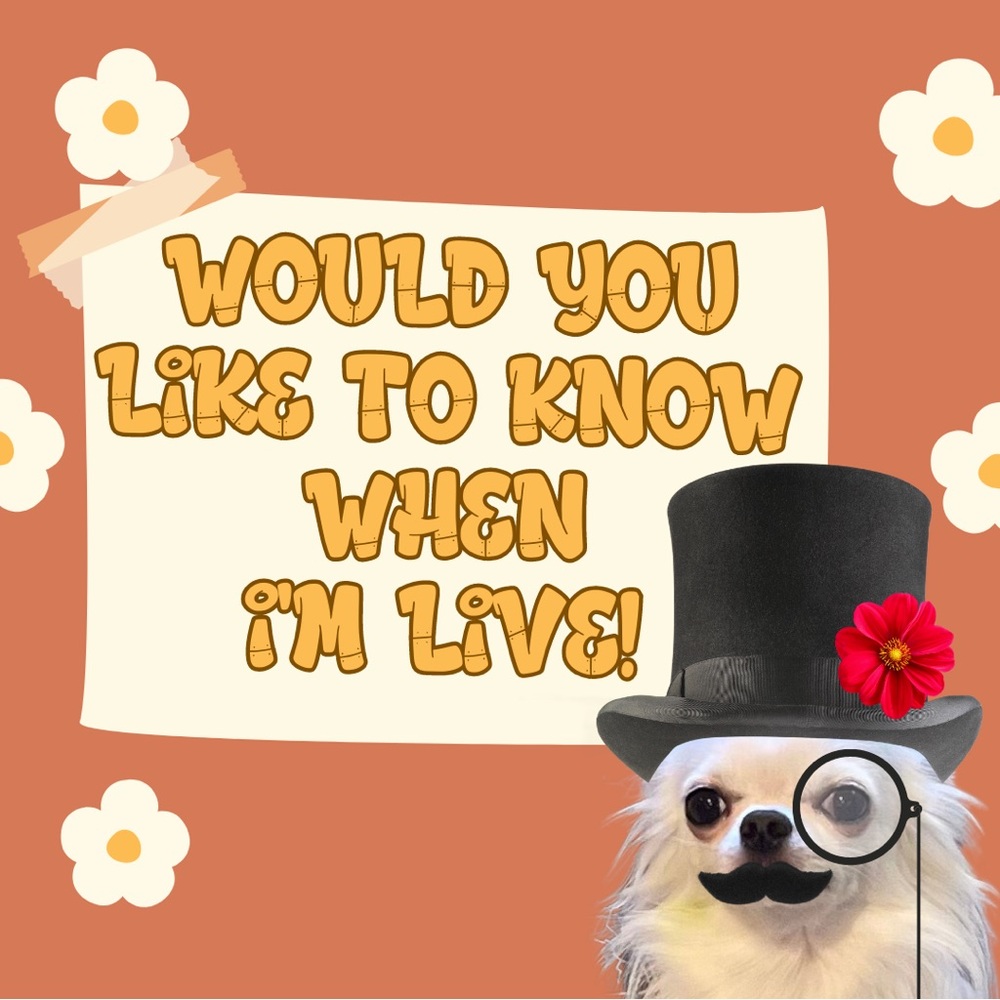 Live Show Notification